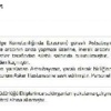 Erzurum'da Astsubaya Silahlı Saldırı (2)
