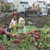 Büyük projede flaş gelişme