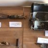 Telabyad'da mühimmat ele geçirdi