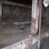 Şenkaya'da ilginç dolandırıcılık Şenkaya'da ilginç dolandırıcılık