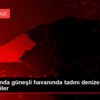 Kasım ayında güneşli havanında tadını denize girerek ... Kasım ayında güneşli havanında tadını denize girerek ...