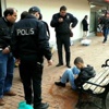 Bonzai kabusu 2 kişiyi hastanelik etti Bonzai kabusu 2 kişiyi hastanelik etti
