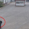 Baskın düzenlenen gazetenin bugünkü manşeti: IŞİD'e giden silahların fotoğrafları Baskın düzenlenen gazetenin bugünkü manşeti: IŞİD'e giden silahların fotoğrafları