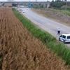Cezaevi firarisi, drone ile tespit edildiği tarlada yakalandı