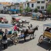 Bakanlıktan atlar için düzenleme Bakanlıktan atlar için düzenleme