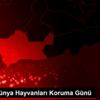 4 Ekim Dünya Hayvanları Koruma Günü 4 Ekim Dünya Hayvanları Koruma Günü