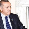 45 gün bitti, söz Erdoğan'da