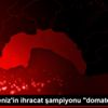 Batı Akdeniz in ihracat şampiyonu "domates" oldu Batı Akdeniz in ihracat şampiyonu "domates" oldu