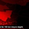 İHH Suriye de 150 ton meyve dağıttı İHH Suriye de 150 ton meyve dağıttı