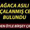 Çanakkale'de ormanda ağaca asılı parçalanmış ceset bulundu Çanakkale'de ormanda ağaca asılı parçalanmış ceset bulundu
