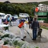 Datça da pazar yerinde koronavirüs önlemleri