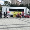 Sazlı sözlü kök hücre bağışı