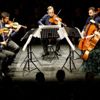 Borusan Quartet konserlerine büyük ilgi