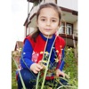 Yalancı Bahara Aldanan Papatyalar Çiçek Açtı Yalancı Bahara Aldanan Papatyalar Çiçek Açtı