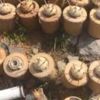 Irak'ın kuzeyinde terör örgütü PKK'ye ait çok sayıda mühimmat ele geçirildi