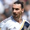 Zlatan İbrahimovic Ocak ayında Milan'da Zlatan İbrahimovic Ocak ayında Milan'da