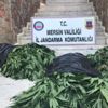 Mersin'de uyuşturucu operasyonu, gözaltılar var