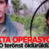 Nokta operasyonu! O terörist öldürüldü
