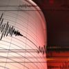 ﻿Japonya'da deprem