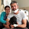 Binlerce arının arasına girip köpeklerini kurtardı