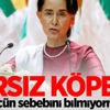Pişkin açıklama! Yaşananların sebebini bilmiyoruz
