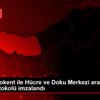 KTÜ Teknokent ile Hücre ve Doku Merkezi arasında iş ...