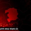 Bingöl e şehit ateşi düştü (2) Bingöl e şehit ateşi düştü (2)