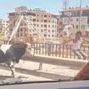 Kaçan dana karayolunu birbirine kattı Kaçan dana karayolunu birbirine kattı