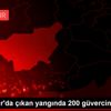 Diyarbakır da çıkan yangında 200 güvercin telef oldu