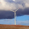 Partiler yeşil enerjide birleşiyor Partiler yeşil enerjide birleşiyor