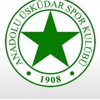 Anadolu Üsküdar 1908 2. Lig'de Anadolu Üsküdar 1908 2. Lig'de