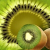 C vitamini deposu 'kivi' C vitamini deposu 'kivi'