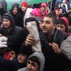 Hamsi festivalinde izdiham