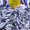 İthal somon yerine yerli hamsi çağrısı
