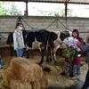 İslahiye de çiftçilerden veterinerlere sürpriz kutlama İslahiye de çiftçilerden veterinerlere sürpriz kutlama