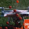 Drone blender oldu