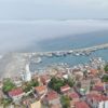 Dünyada bir tek orada yetişiyor! Koparmanın cezası 60 bin TL Dünyada bir tek orada yetişiyor! Koparmanın cezası 60 bin TL