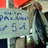 Sezonun ilk palamudu satışta Sezonun ilk palamudu satışta