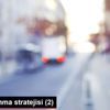 İç borçlanma stratejisi (2)