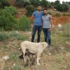 Aydın'da canını hiçe sayıp yavru köpekleri kurtardı Aydın'da canını hiçe sayıp yavru köpekleri kurtardı