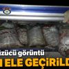 5 buçuk ton kefal ele geçirildi 5 buçuk ton kefal ele geçirildi