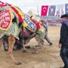 CHP'yi FETÖ yönetiyor!