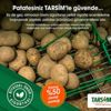TARSİM: 'Patates ürününüz güvende' TARSİM: 'Patates ürününüz güvende'