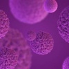 Mers şüphesinde sonuç açıklandı Mers şüphesinde sonuç açıklandı