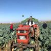 Çiftçinin beklediği faiz indirimi açıklandı Çiftçinin beklediği faiz indirimi açıklandı