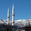 Zeytin ağaçlarına soğuktan çuvallı koruma