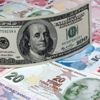 Merkez Bankası’nın faiz kararını uzmanlar nasıl yorumladı? Piyasaları neler bekliyor? Merkez Bankası’nın faiz kararını uzmanlar nasıl yorumladı? Piyasaları neler bekliyor?