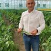 Türk mühendislerden yerli tohum hamlesi Türk mühendislerden yerli tohum hamlesi