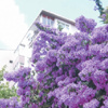 Rüzgara karşı İstanbul Rüzgara karşı İstanbul