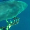 Video: Rusya'da Hamile Kadını Otobüsten Attılar Video: Rusya'da Hamile Kadını Otobüsten Attılar